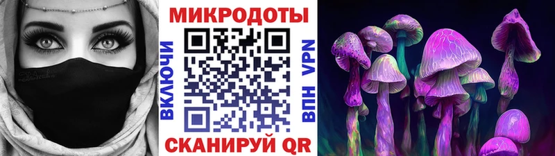 сколько стоит  Анжеро-Судженск  Галлюциногенные грибы Psilocybine cubensis 