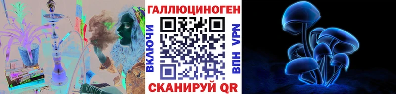 Псилоцибиновые грибы Psilocybe Анжеро-Судженск